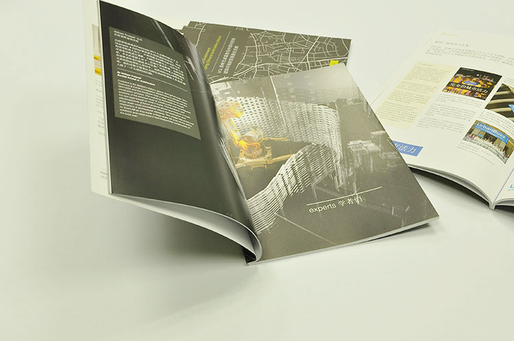 University Brochures design and printing