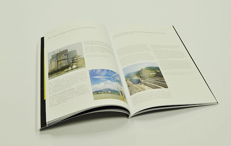 University Brochures design and printing