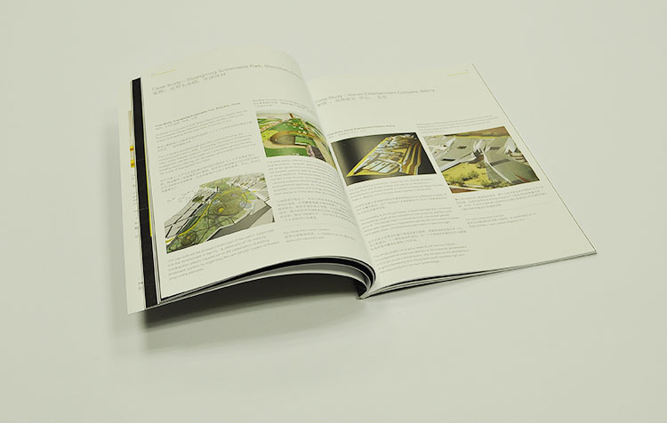University Brochures design and printing