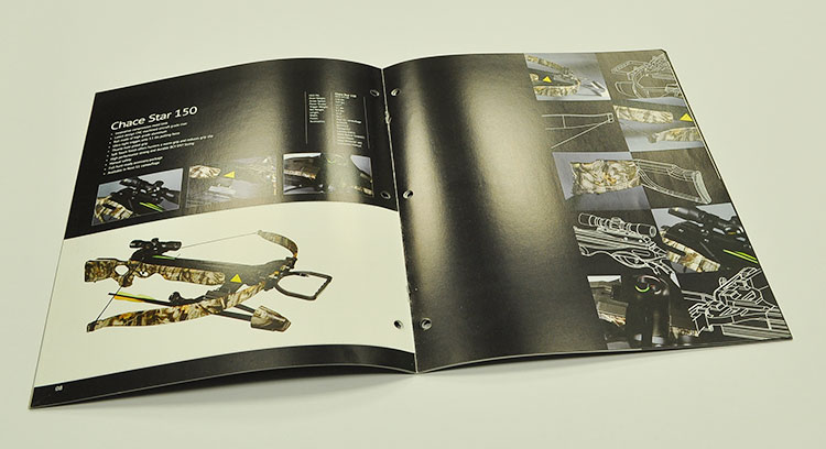 Brochure design priting