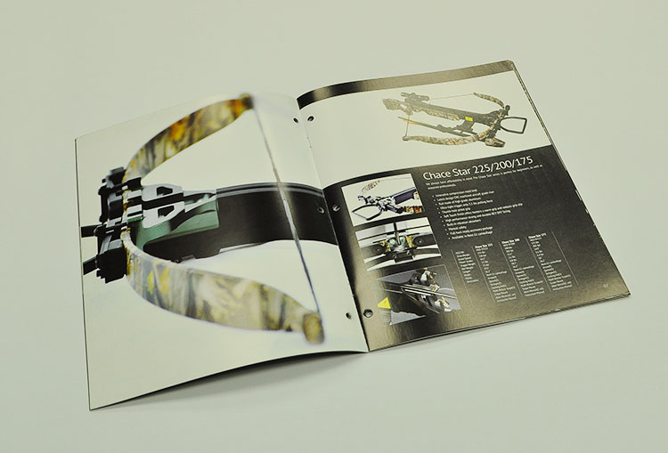 Brochure design priting