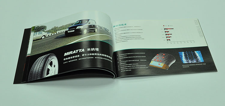 LASSA Tyres Brochure printing design