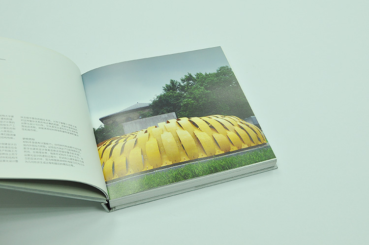 UCL Brochures design printing