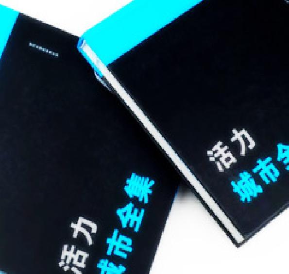英国活力城市宣传册